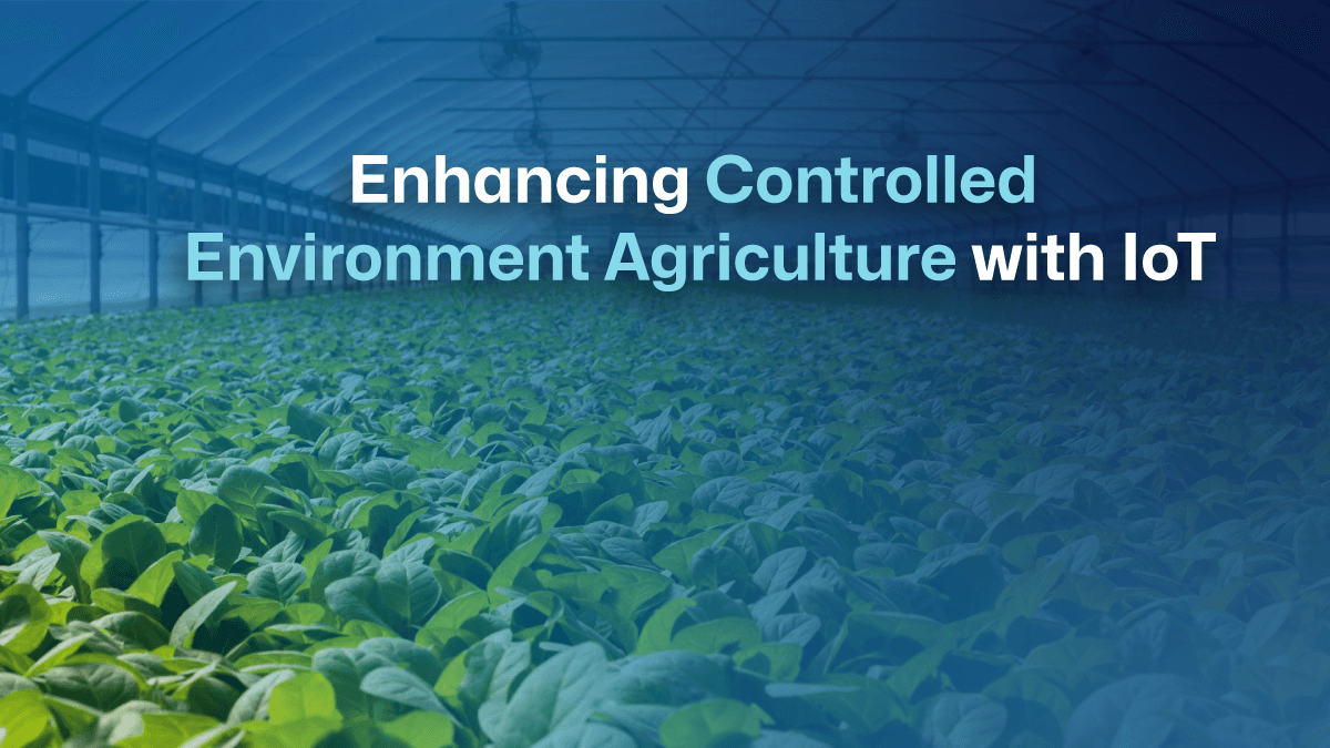 Enhancing Controlled Environment Agriculture with IoT