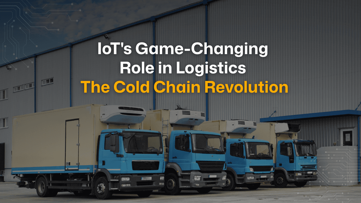 IoT's Game-Changing Role in Logistics: The Cold Chain Revolution