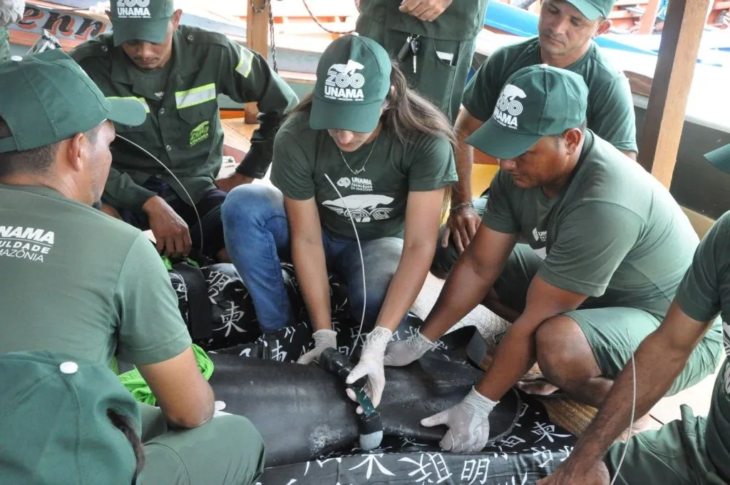 Nortronic and TagoIO partnership being utilized on behavioral study of animals