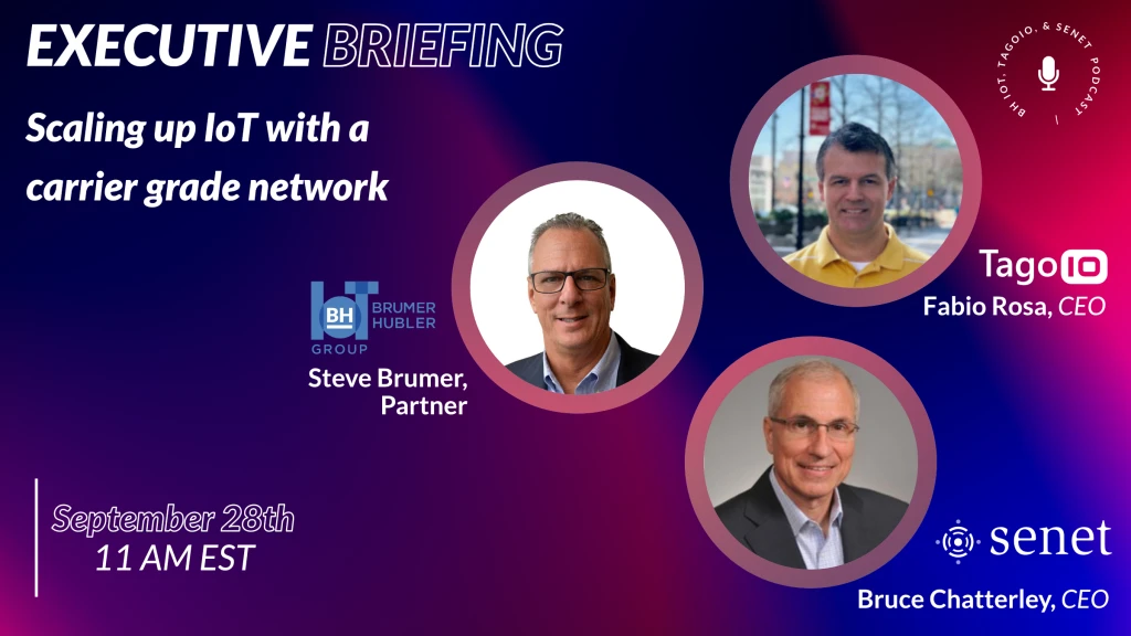 Scaling Up IoT With A Carrier Grade Network