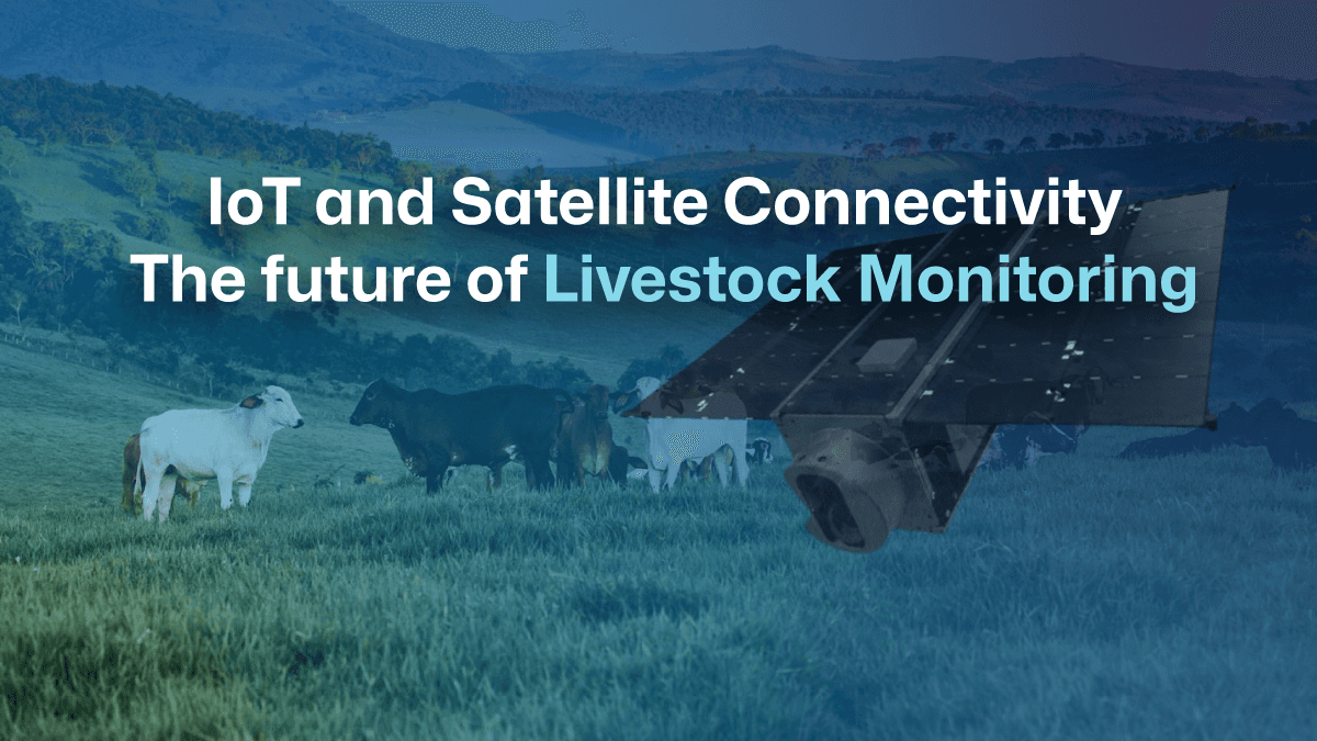 IoT and Satellite Connectivity: The future of Livestock Monitoring